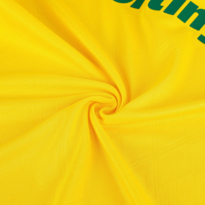 CAMISA DO PALMEIRAS 25/26 AMARELO
